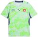 Puma SFV Away Jersey Replica Heren Maat S Katoen Sea Glass-Dark Indigo