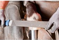 PFERD TOOLS 13180351 Hoefrasp Lengte 350 mm 1 stuk(s)