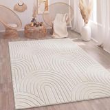 Paco Home Hoogpolig Vloerkleed Woonkamer Shaggy Scandinavisch Boho Regenboog Beige 120x160 cm