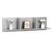 Wandplank RICOO Wandplank 106 x 30 x 22 cm Hangende plank Grijs WM014-PL