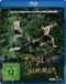 PLAION 1076778 film en Video Blu-ray Duits, Engels