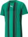 Puma Teamliga Shirt Korte Mouw Kinderen - Groen / Zwart