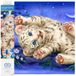 Diamonddotz DD5.005 Diamond Painting Baby Tiger