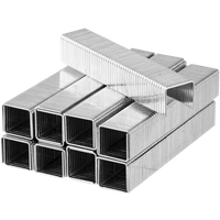 Probuilder nietjes 6mm 2000 stuks