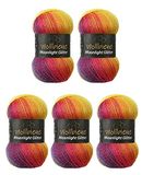 Wollbiene Moonlight Glitter Batik Simli Wol, 5 x 100 g, 500 g, 20% metallisch, kleurverloop, 2600 Regenbogen, voor breien en haken
