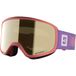 SALOMON Rio uniseks-volwassene Skibril