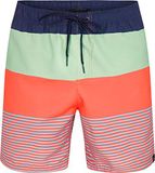 Firefly Kemono Badeshorts heren Heren zwemshorts