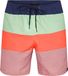Firefly Kemono Badeshorts heren Heren zwemshorts