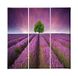 Homemania Afbeelding met bloemen, 3 stuks, natuur en landschappen per woonkamer, slaapkamer, meerkleurig, 69 x 3 x 50 cm, HM203PKNV-11, polyester, hout