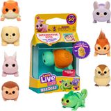 Little Live Pets Needees - Schattige, interactieve diertjes