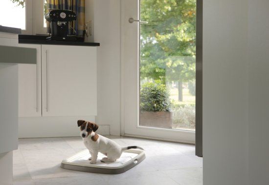 Savic Puppy Trainer Starterkit - Hond - Met Toilet en Pads