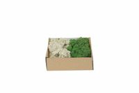 My Village Mousse de renne Mix Vert foncé – Naturel | 250 g