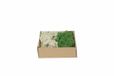 My Village Mousse de renne Mix Vert foncé – Naturel | 250 g