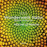 Calendario Wunderwerk Natur - Bizarre Strukturen - KUNTH Broschurkalend