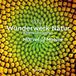 Calendario Wunderwerk Natur - Bizarre Strukturen - KUNTH Broschurkalend