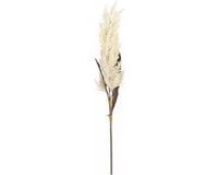 Mica Decorations Pampasgras pluim losse steel / tak - wit - 88 cm