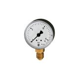 RIEGLER 101699-110-K Standaard manometer, kunststof behuizing, G 1/4 onder, 0-60,0 bar, Ø 50, 1 stuk