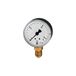 RIEGLER 101699-110-K Standaard manometer, kunststof behuizing, G 1/4 onder, 0-60,0 bar, Ø 50, 1 stuk