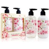 Accentra Essential Botanicals Cosmetica sets 2 st