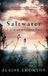 Saltwater: A midsummer ghost story Hardcover