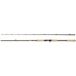 Abu Garcia Canne Baitcasting Beast Pro2