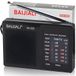 Retoo FM Radio portable