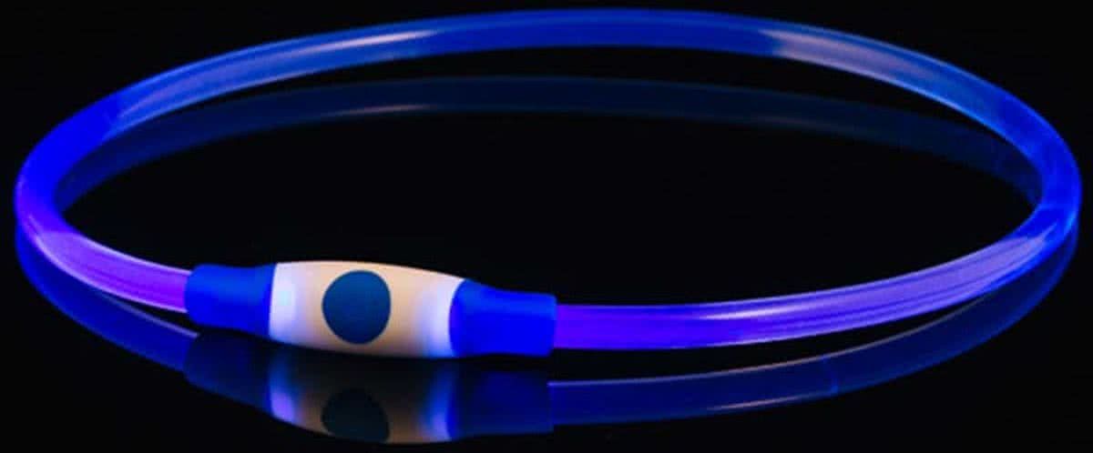 bee seen - Dog Band - Blauw - usb - Led Band - honden lampje - veiligheid