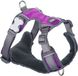Red Dingo Harnais Chien Dingo Violet S