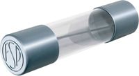 Püschel FST0,16B Fusible (Ø x l) 5 mm x 20 mm 0.16 A 250 V Lent -T- Contenu : 10 pièce(s)
