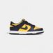 Nike Dunk Low Michigan (2021/2024) (GS) Unisex Wit Rubber Maat 39