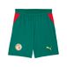 PUMA Pantalon de sport 'Senegal' jaune / vert foncé / rouge