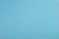 Exacompta 8x Onderlegger in karton - Pastelblauw - 60162D