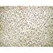 Donia tapijt modern design effen (133 x 190 cm, ivoor)
