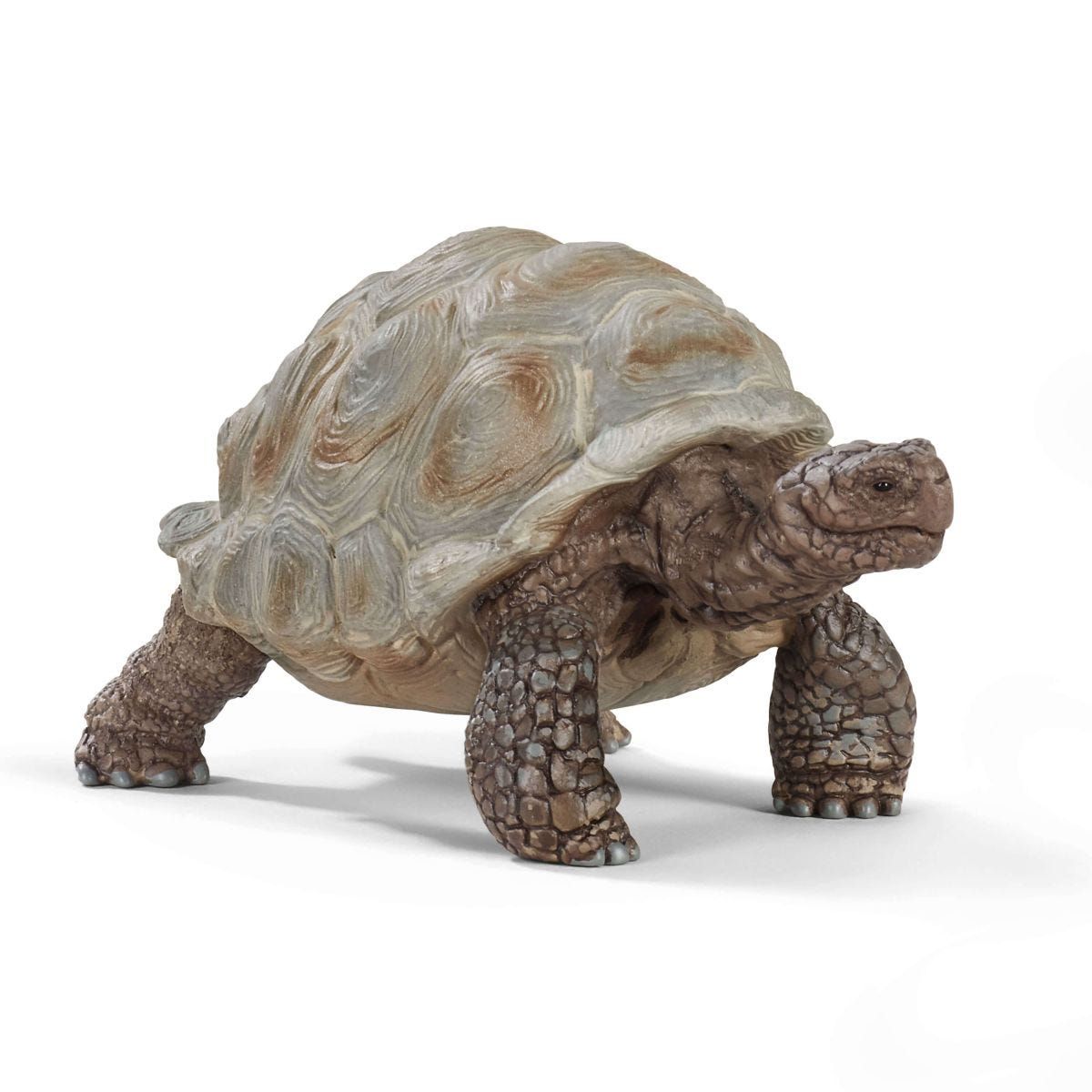Schleich WILD LIFE Reuzenschildpad - 14824 - Speelfiguur - Dieren - 3+ jaar
