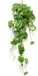 Emerald Scindapsus pictus bush green/grey 24 cm kunstbloem zijde nepbloem