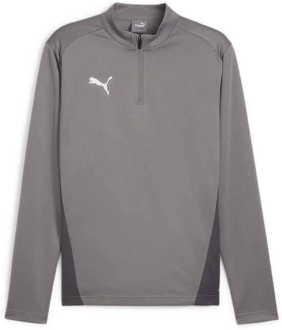 Puma TeamGoal Training 1/4 Zip Top 658629