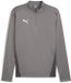 Puma TeamGoal Training 1/4 Zip Top 658629
