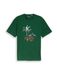 TOM TAILOR Chemise bleu ciel / vert / vert clair / rouge