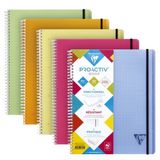 Clairefontaine 328171C Proactiv'Book Schrift-Sorteermap met Spiraalbinding - A4+ 22,5x29,7 cm - 160 Afscheurbare Pagina's Grote Ruitjes met Kader - Wit Papier 90 g - Polypro Omslag - Willekeurig Kleur