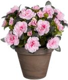 Mica Decorations Azalea Kunstplant in Bloempot Stan - H31 x Ø26 cm - Roze
