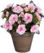 Mica Decorations Azalea Kunstplant in Bloempot Stan - H31 x Ø26 cm - Roze