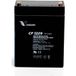 Vision Batterie au plomb Vision CP1229 Laine de plomb (AGM) 2,9 Ah 12 V