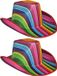 Chapeau de cowboy coloré - 2x pièces - rayé - arc-en-ciel - Chapeaux de déguisement de carnaval - Fierté