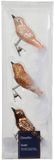 Decoris Kaemingk Orn.glas vogel l3b8h3.5cm bruin 3st Decoris