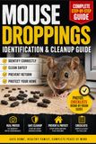 How Icecat How to Identify Mouse Dropping: A Simple Visual Inspection Guide to Spot Early Signs, Clean Safely, and Protect Your Home