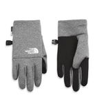 THE NORTH FACE Handschoenen grijs / zwart / wit