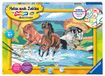 Ravensburger Verven op Nummer 28492, Trotse Wilde Paarden, Meerkleurig