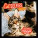 Kattenselfies BrownTrout Cat Selfies 2027 Square Flap