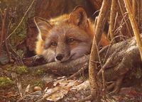 Cobble Hill puzzle animaux - A Touch of Warmth 500 pièces puzzle
