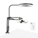 NEEWER N41 8 inch LED Ring Licht met Bureau Klem Stand/Afstandsbediening, Overhead Telefoon Mount Houder